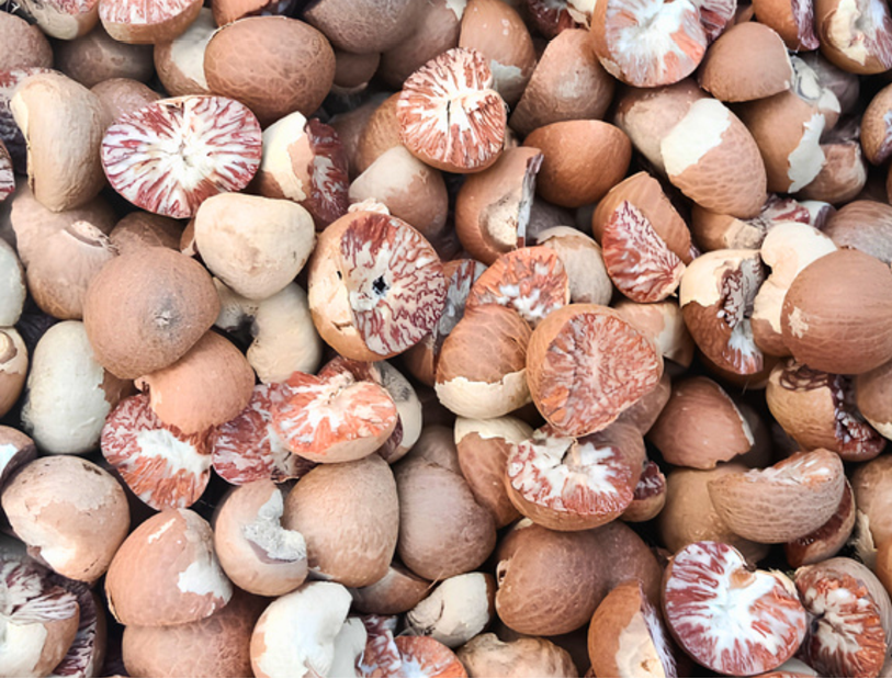 Areca Nut
